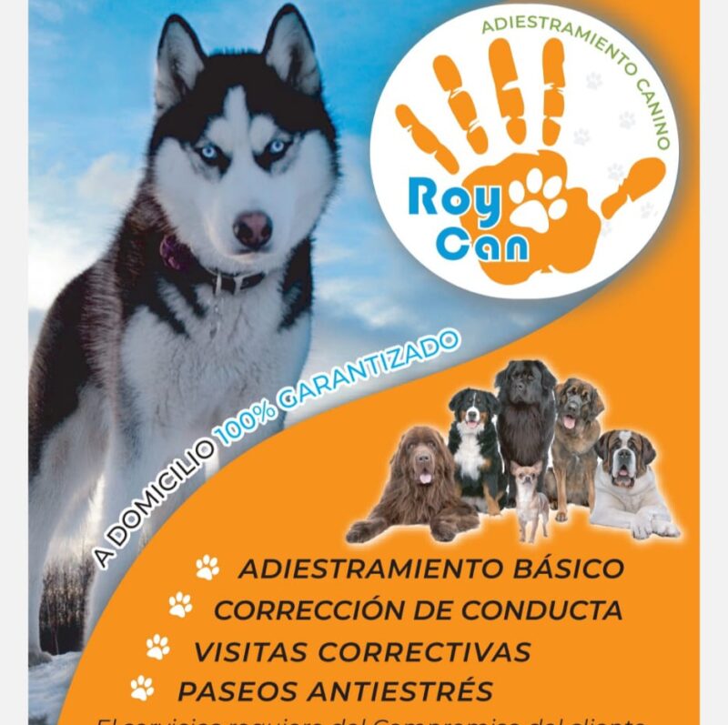 Adiestramiento Canino Roycan