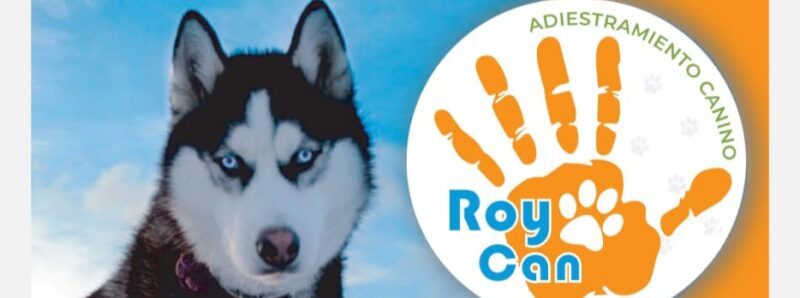 Adiestramiento Canino Roycan