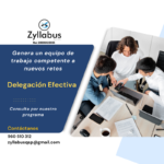 Curso de delegación efectiva